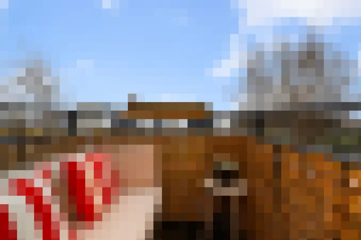 Twijnderlaan 116 Aalsmeer thumbnail 28