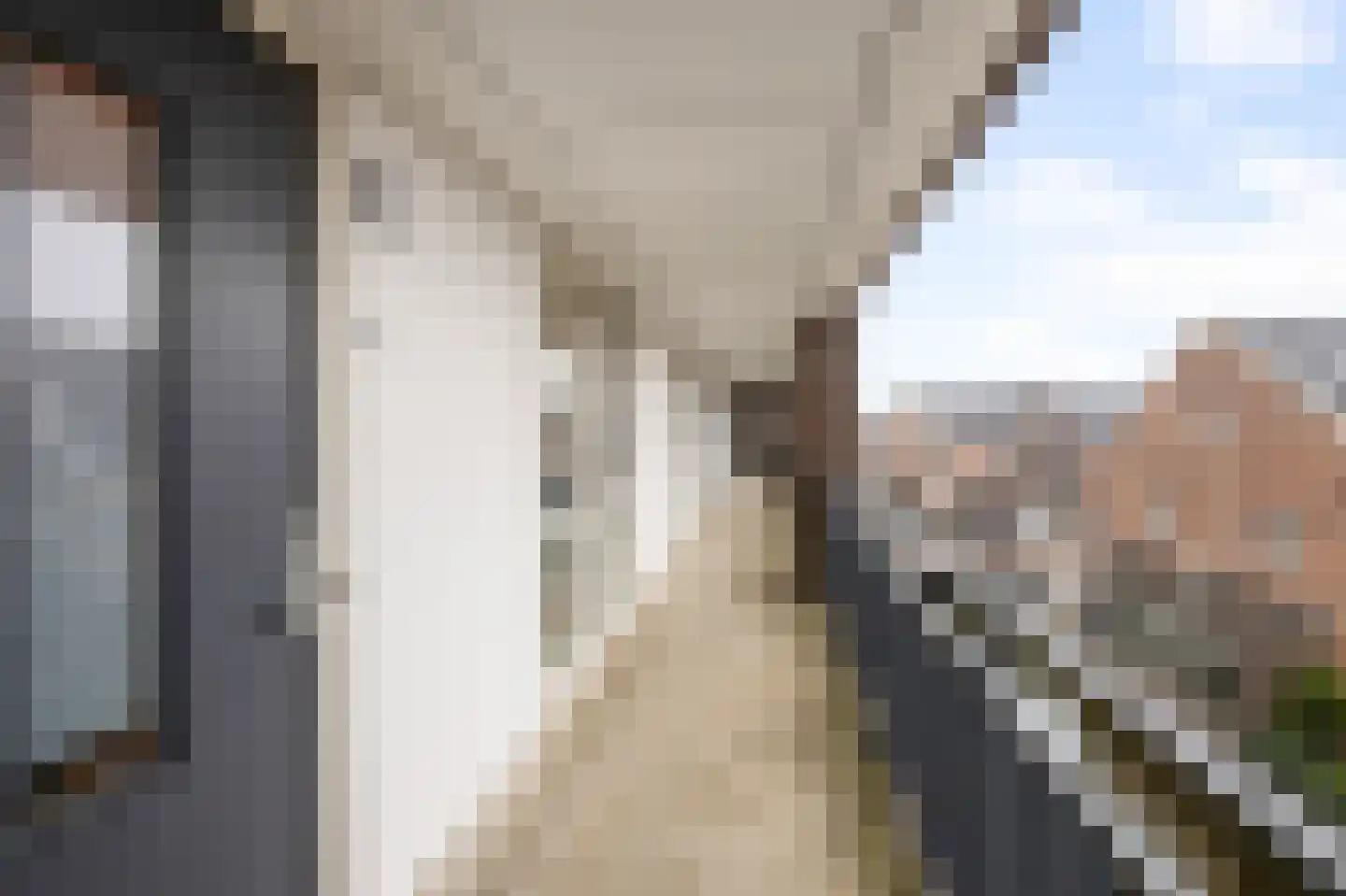 Twijnderlaan 116 Aalsmeer thumbnail 29