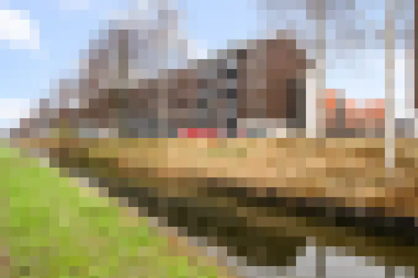 Twijnderlaan 116 Aalsmeer thumbnail 34