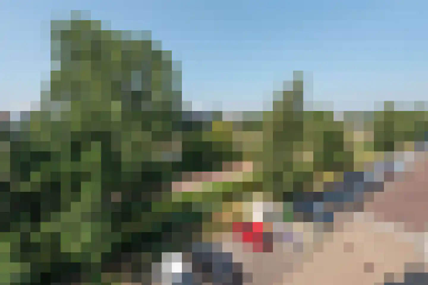 Twijnderlaan 128 Aalsmeer thumbnail 6