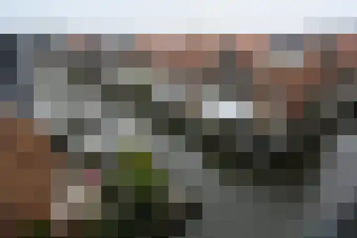 Twijnderlaan 130 Aalsmeer thumbnail 23