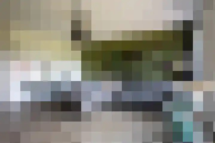 Twijnderlaan 162 Aalsmeer thumbnail 12