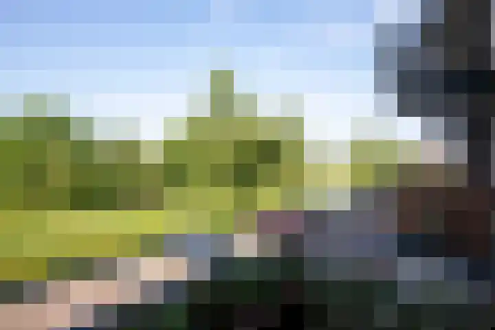 Twijnderlaan 162 Aalsmeer thumbnail 15