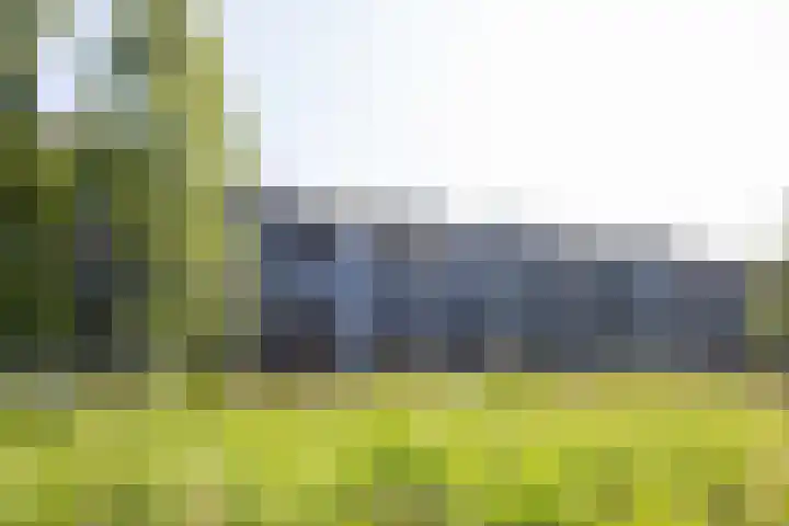 Twijnderlaan 162 Aalsmeer thumbnail 26