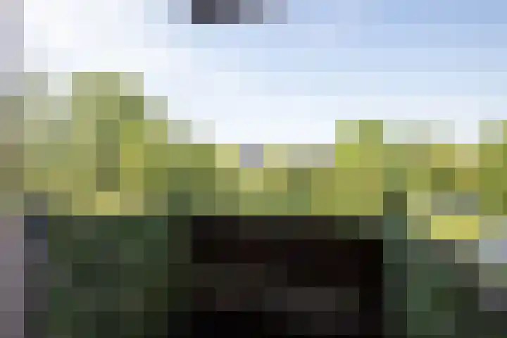 Twijnderlaan 162 Aalsmeer thumbnail 5