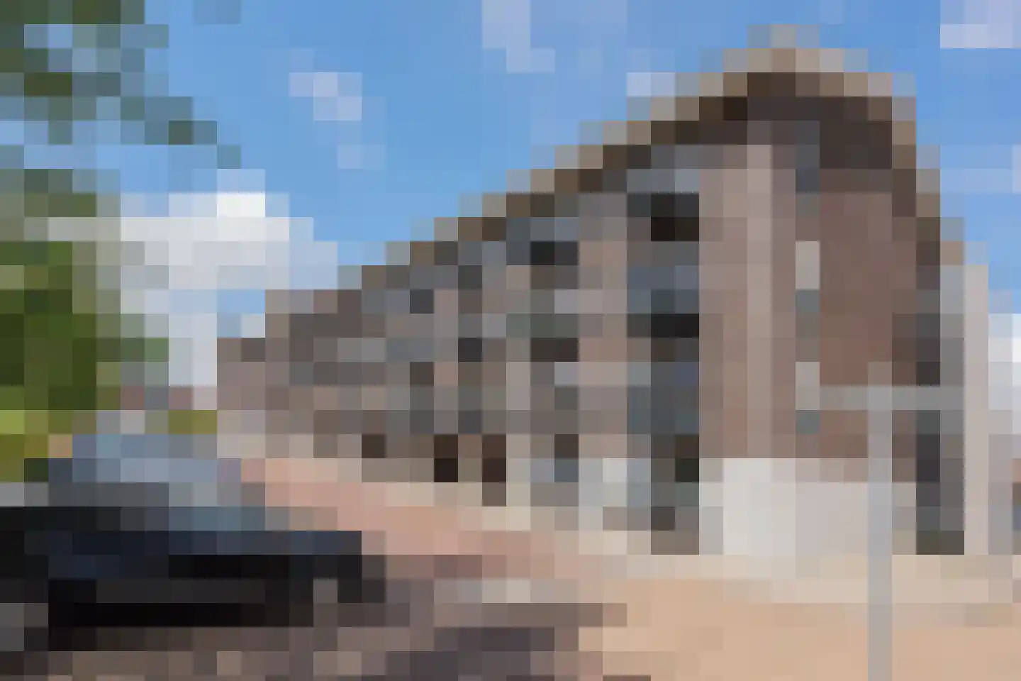 Twijnderlaan 170 Aalsmeer thumbnail 15