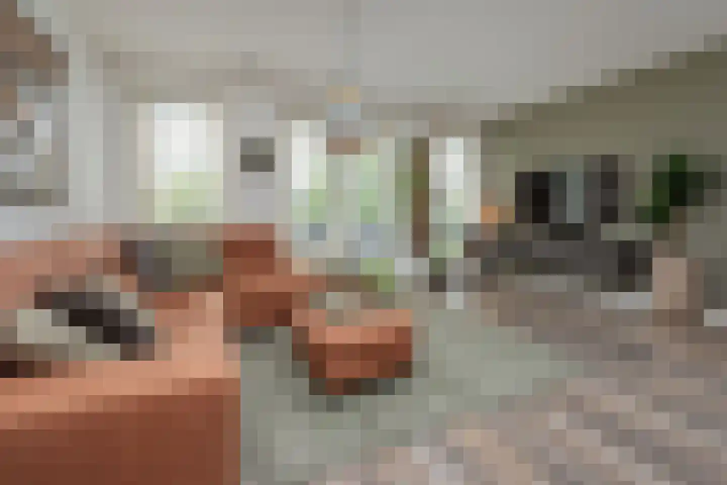Twijnderlaan 170 Aalsmeer thumbnail 5