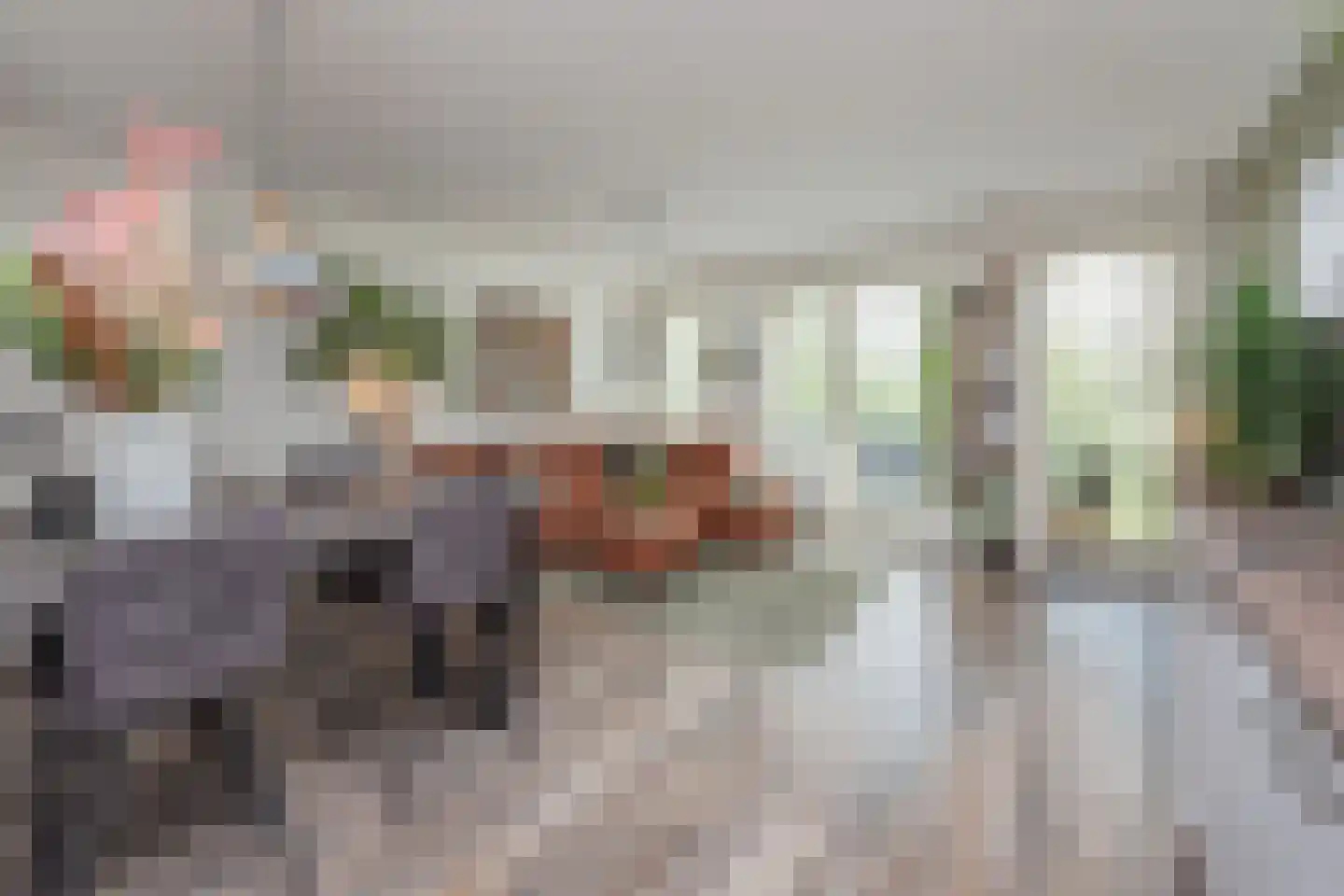 Twijnderlaan 170 Aalsmeer thumbnail 6