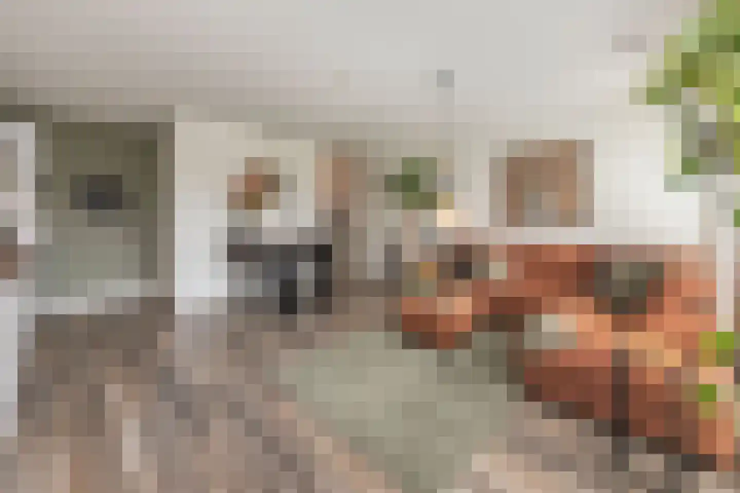 Twijnderlaan 170 Aalsmeer thumbnail 7