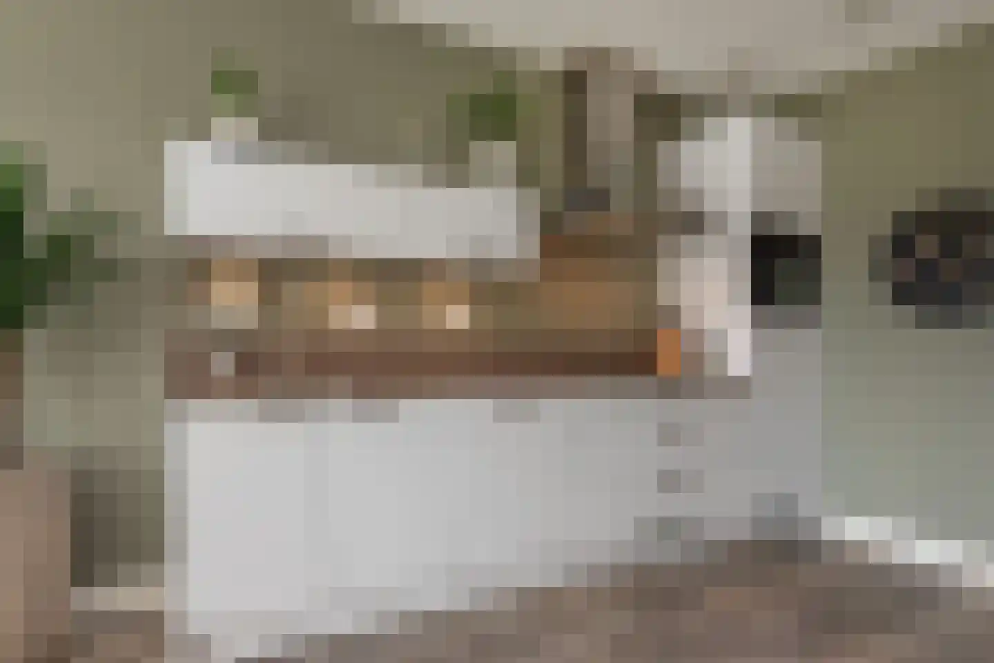 Twijnderlaan 170 Aalsmeer thumbnail 9