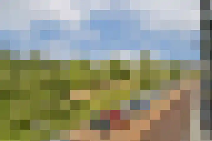 Twijnderlaan 186 Aalsmeer thumbnail 10