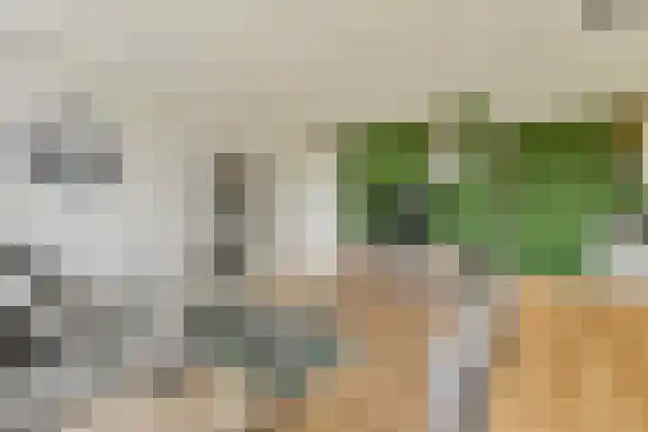 Twijnderlaan 186 Aalsmeer thumbnail 7