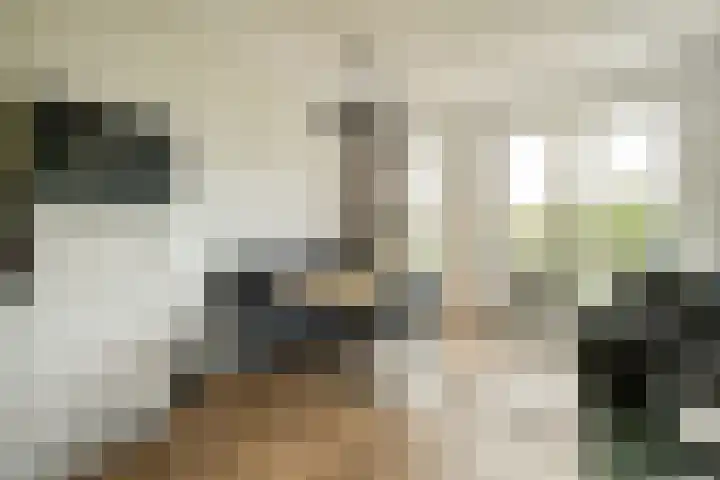 Twijnderlaan 186 Aalsmeer thumbnail 8