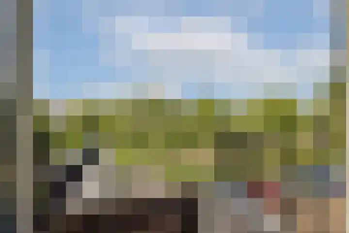 Twijnderlaan 186 Aalsmeer thumbnail 9