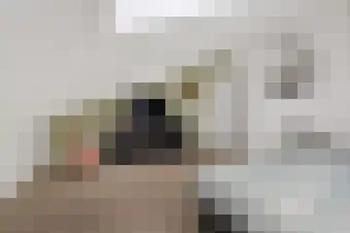 Twijnderlaan 196 Aalsmeer thumbnail 12