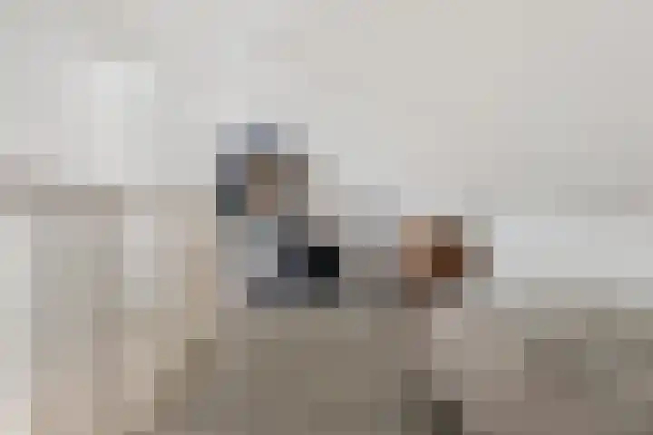 Twijnderlaan 196 Aalsmeer thumbnail 14
