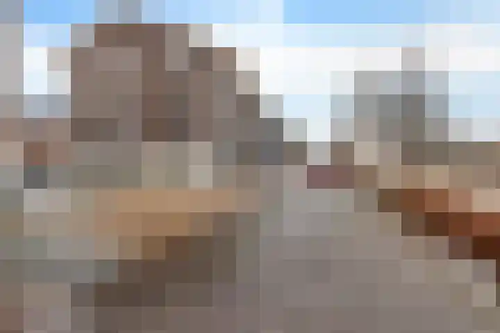Twijnderlaan 196 Aalsmeer thumbnail 22
