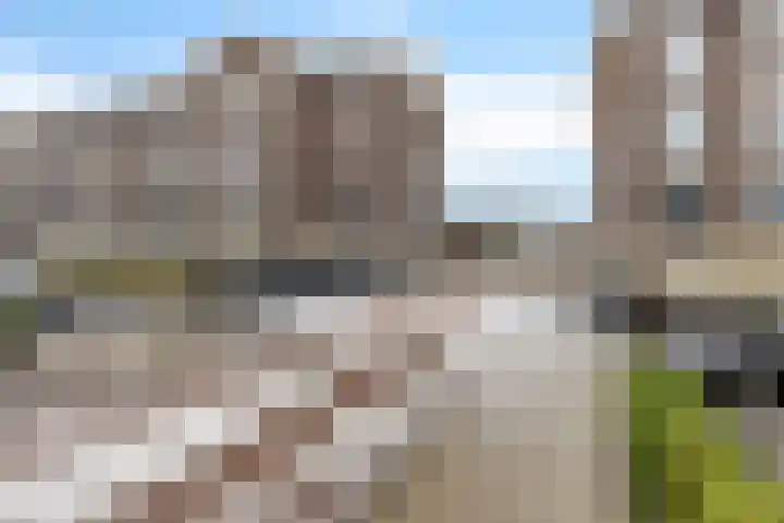 Twijnderlaan 196 Aalsmeer thumbnail 23