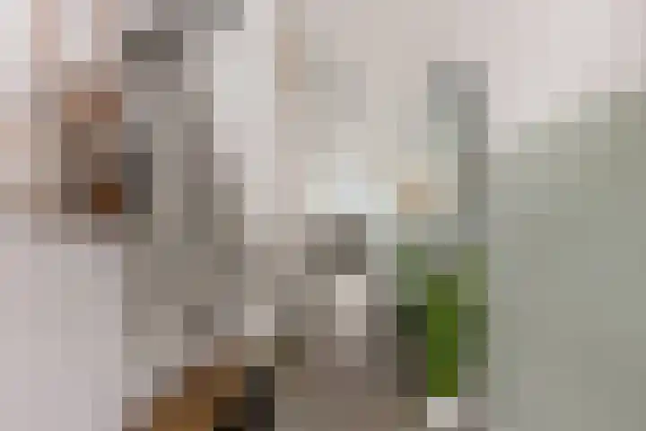 Twijnderlaan 196 Aalsmeer thumbnail 5