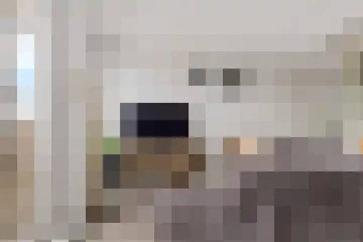 Twijnderlaan 196 Aalsmeer thumbnail 8