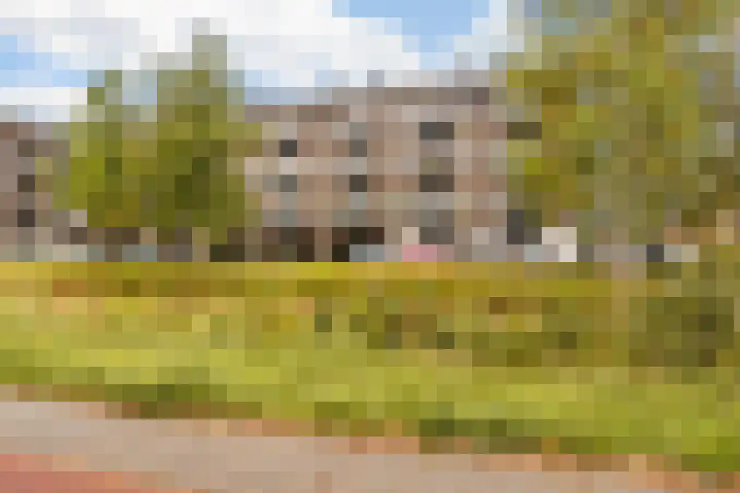 Twijnderlaan 204 Aalsmeer thumbnail 25