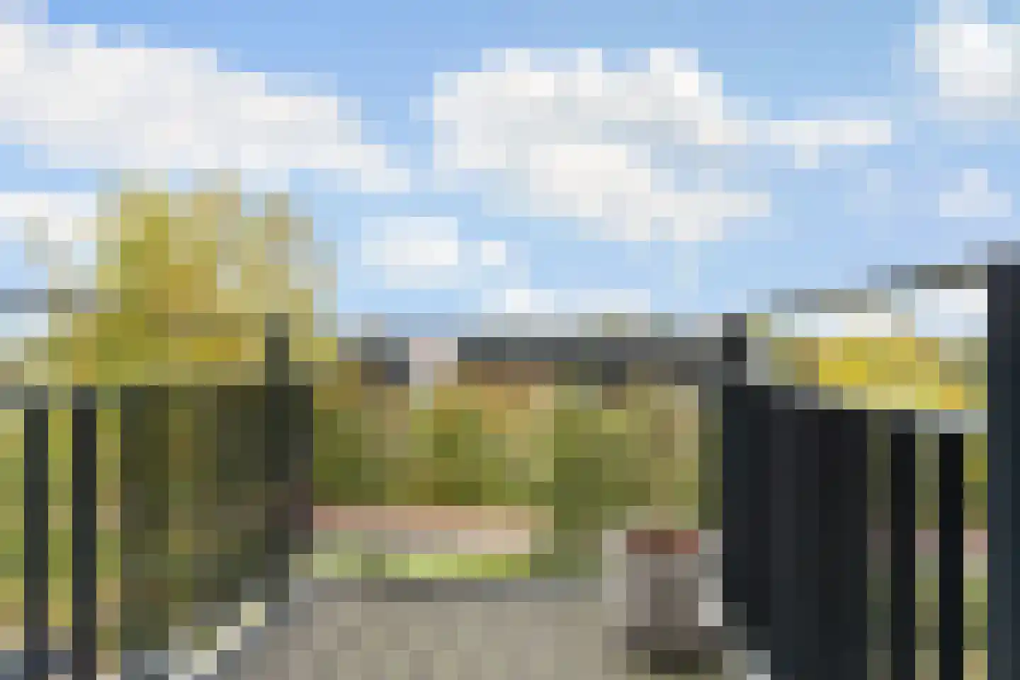 Twijnderlaan 204 Aalsmeer thumbnail 7