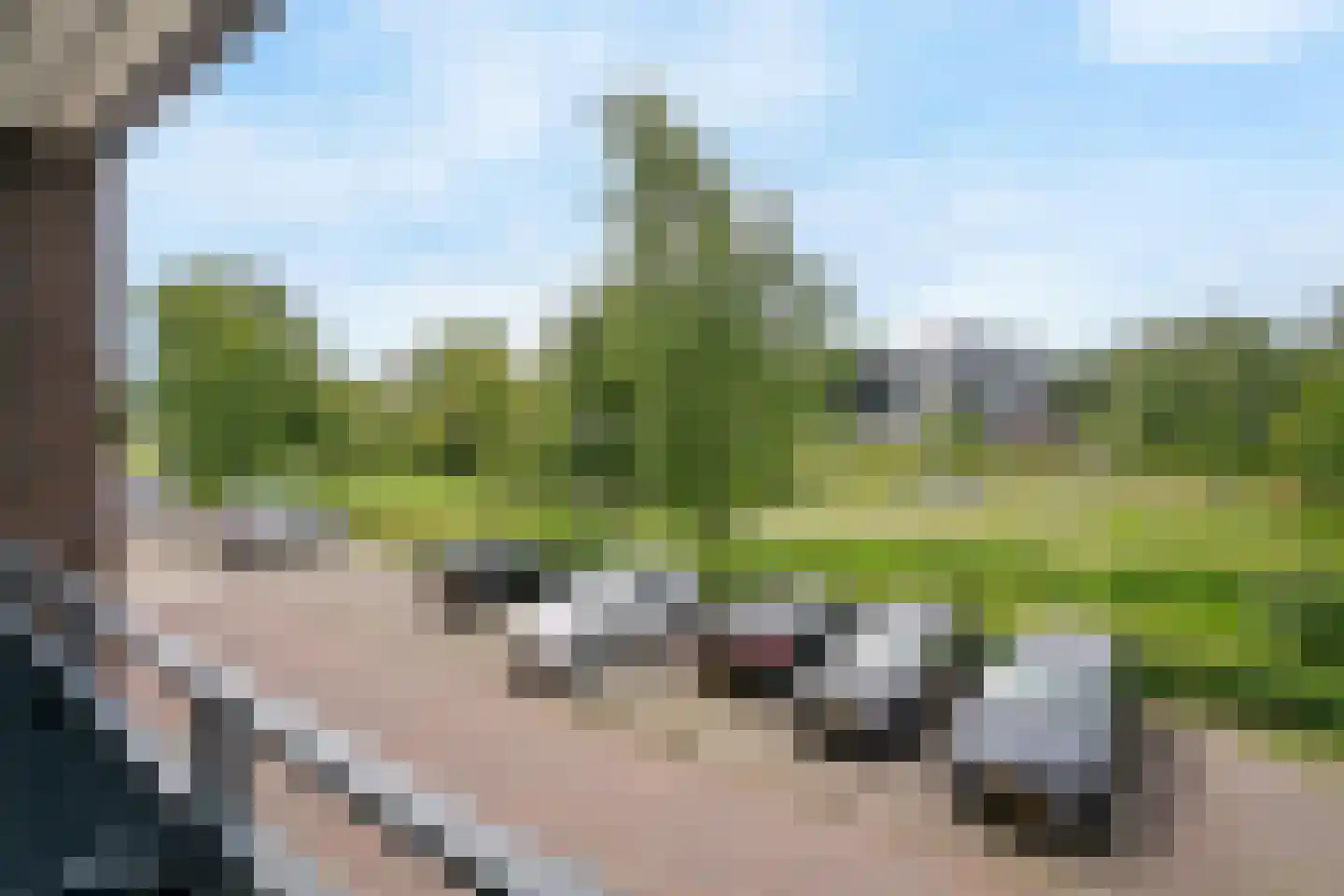 Twijnderlaan 216 Aalsmeer thumbnail 21