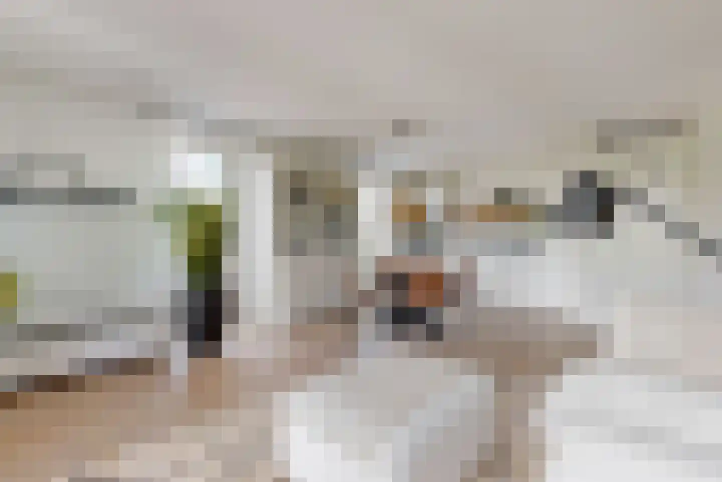 Twijnderlaan 216 Aalsmeer thumbnail 5