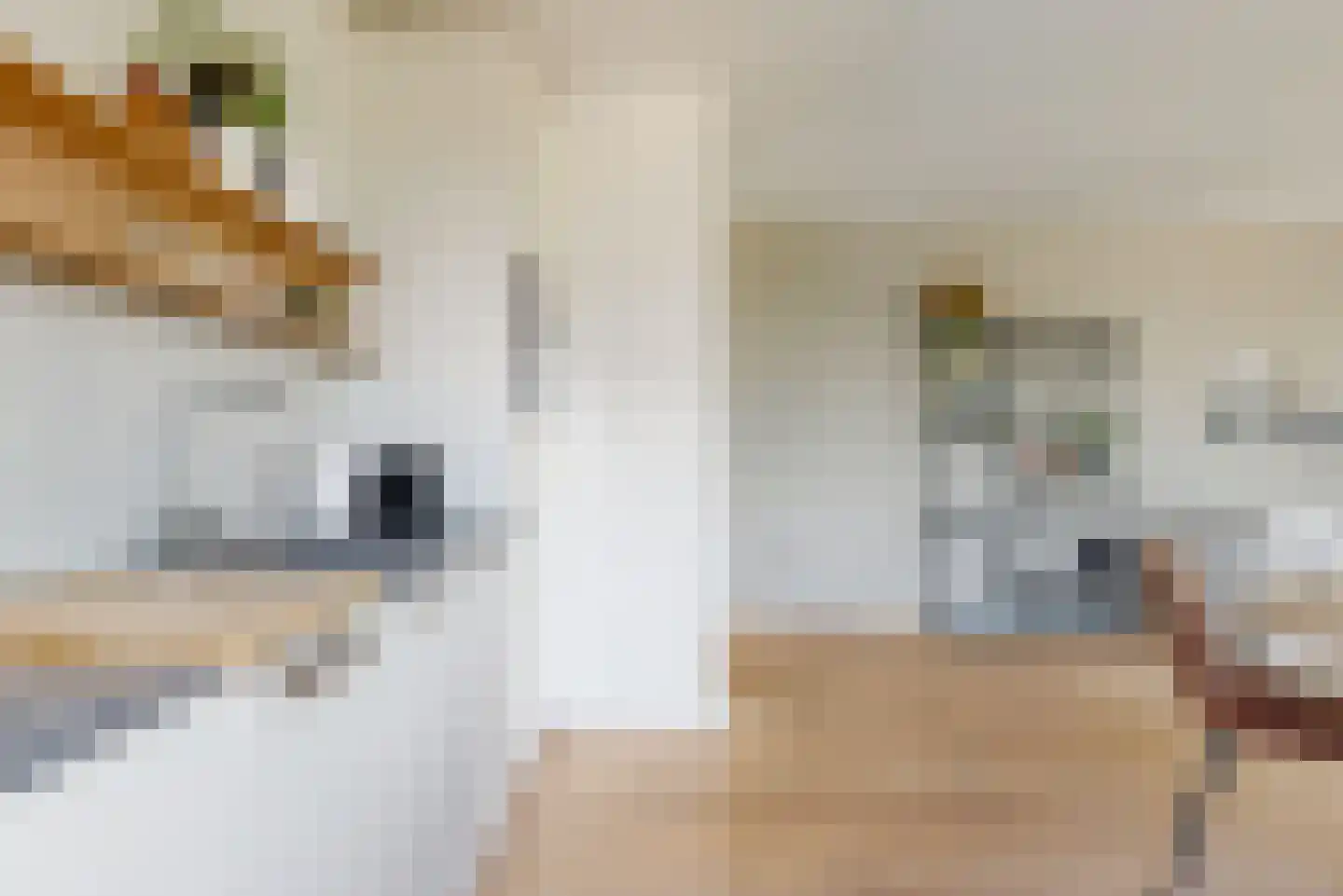 Twijnderlaan 216 Aalsmeer thumbnail 7