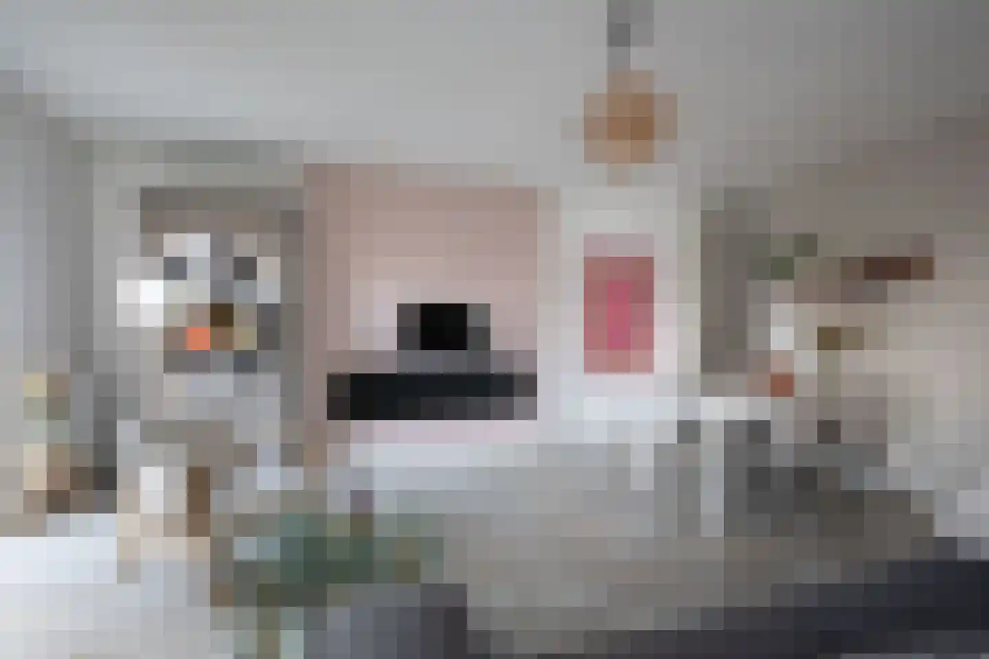 Twijnderlaan 24 Aalsmeer thumbnail 12