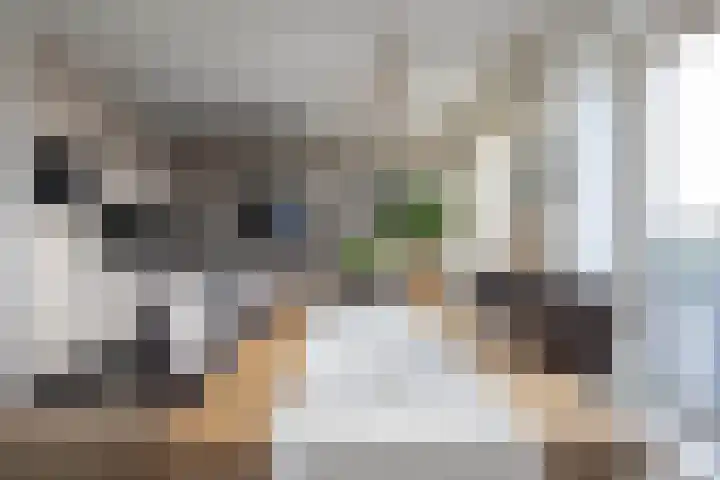Twijnderlaan 27 Aalsmeer thumbnail 14