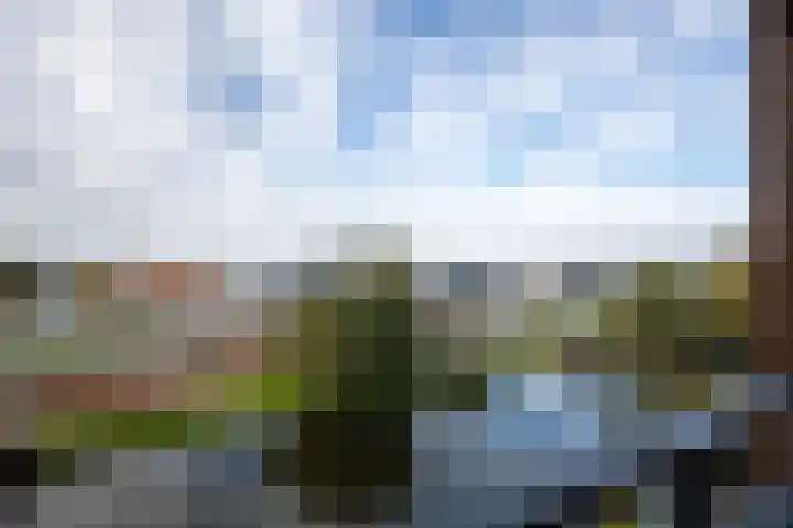 Twijnderlaan 27 Aalsmeer thumbnail 21