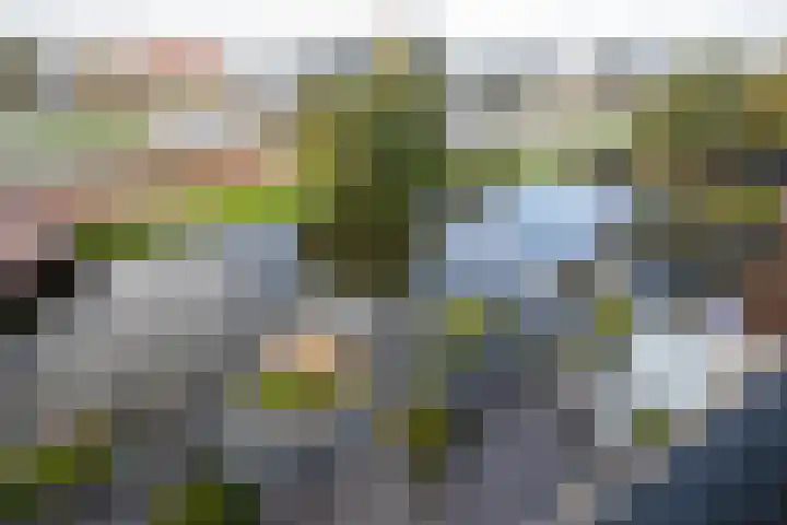 Twijnderlaan 27 Aalsmeer thumbnail 22