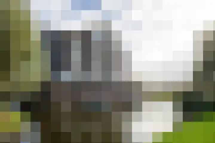 Twijnderlaan 27 Aalsmeer thumbnail 39
