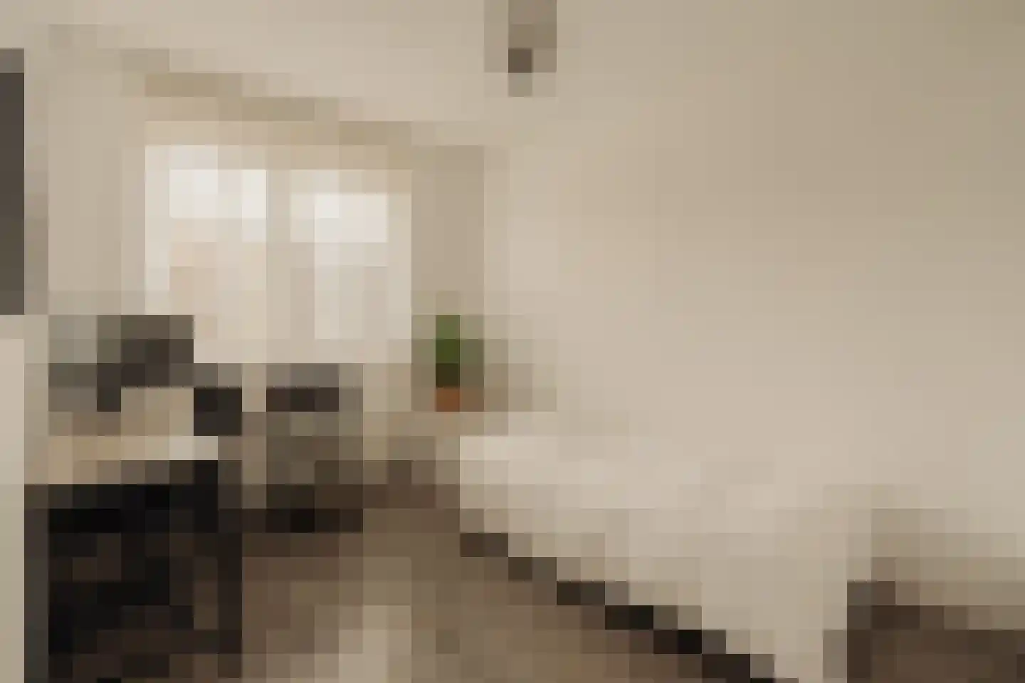 Twijnderlaan 4 Aalsmeer thumbnail 24