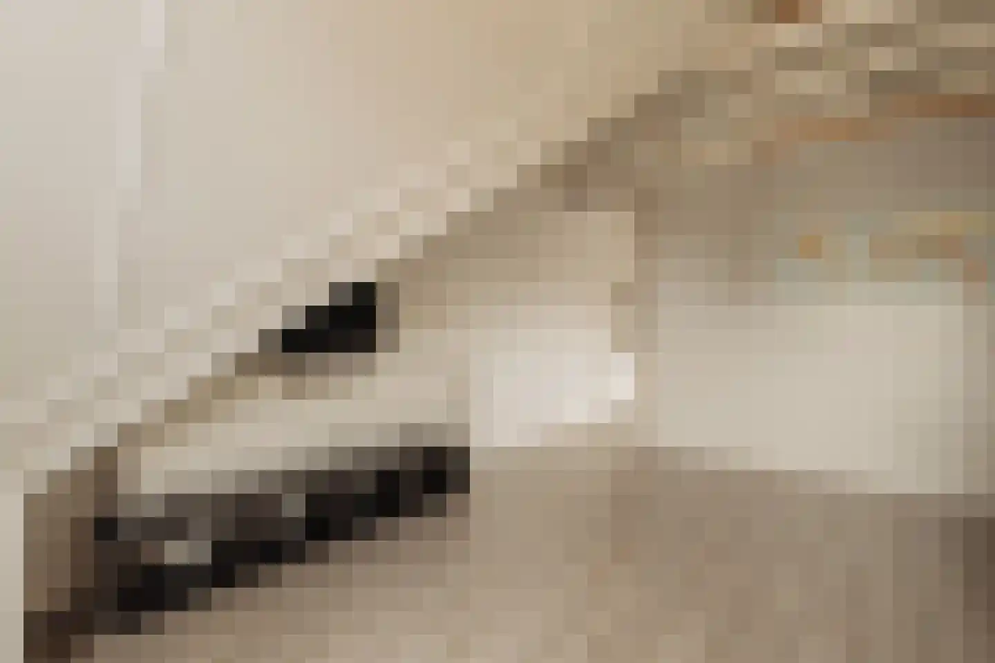 Twijnderlaan 4 Aalsmeer thumbnail 33