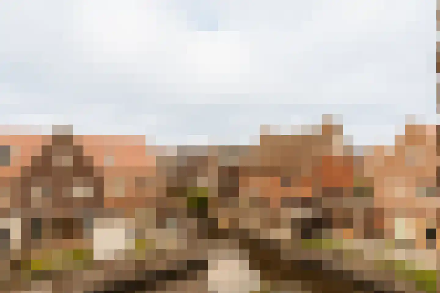 Twijnderlaan 4 Aalsmeer thumbnail 35