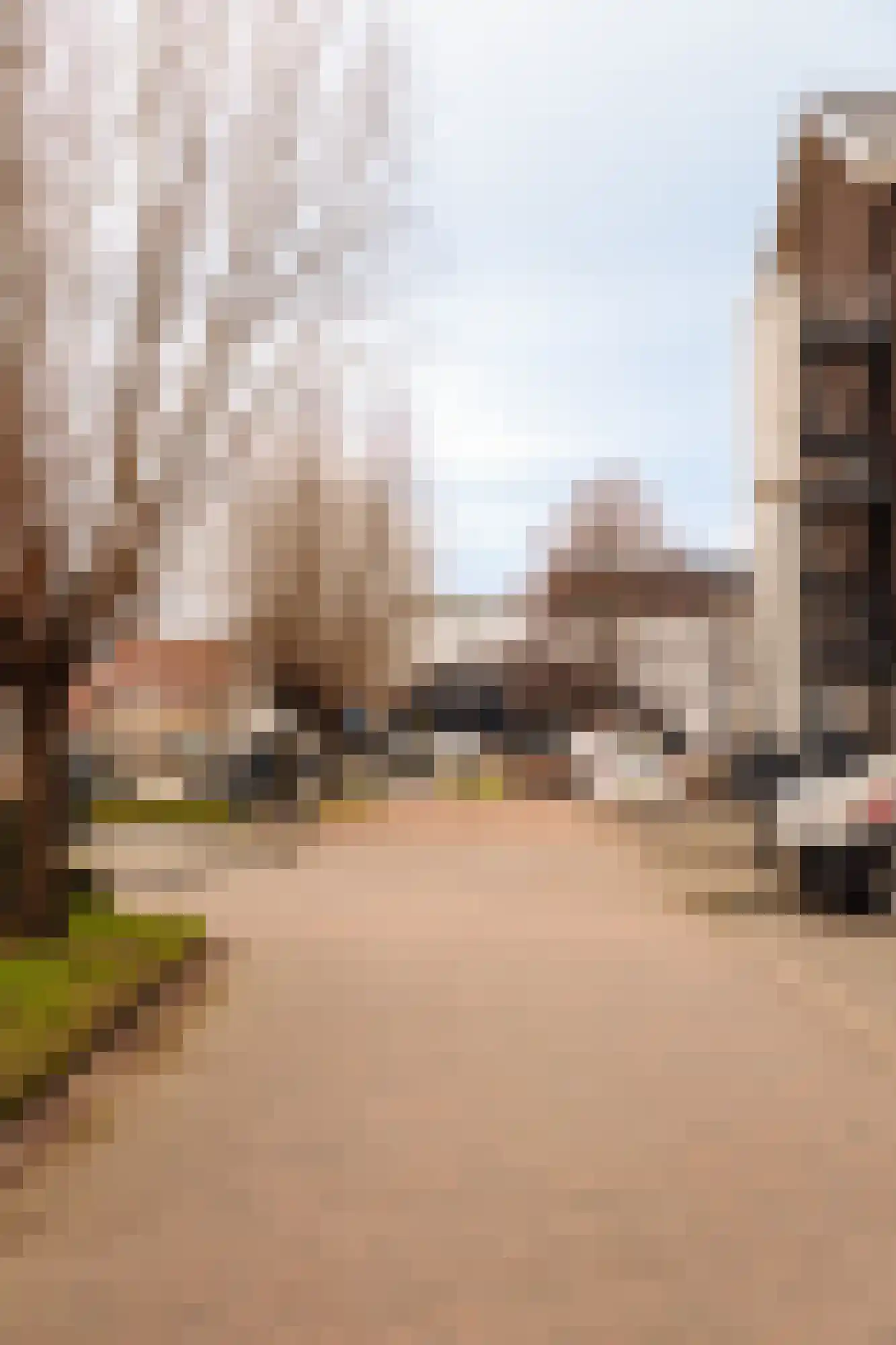 Twijnderlaan 4 Aalsmeer thumbnail 36