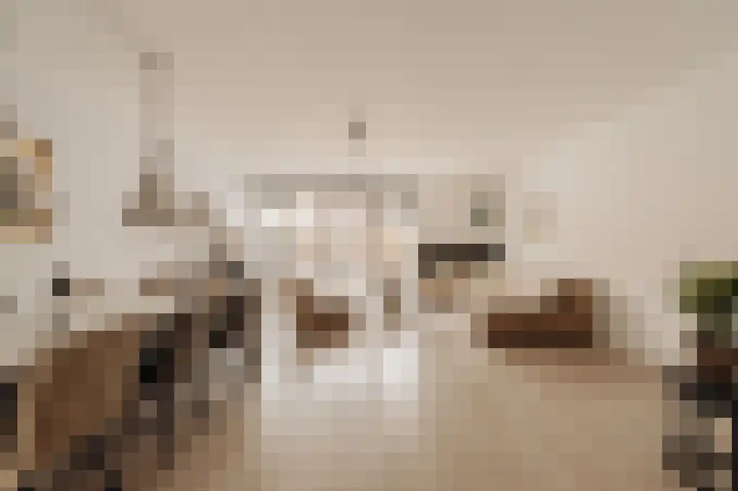 Twijnderlaan 4 Aalsmeer thumbnail 5