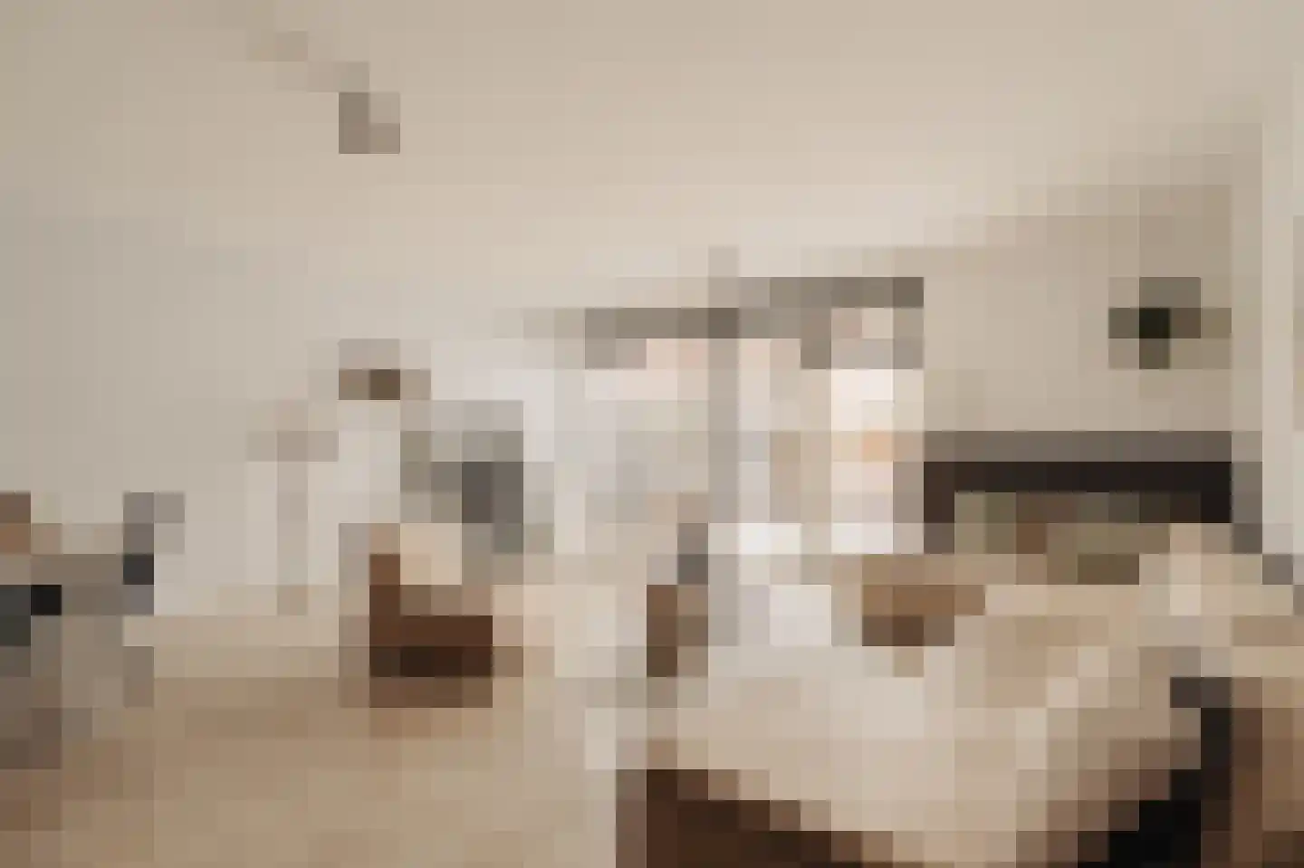 Twijnderlaan 4 Aalsmeer thumbnail 6