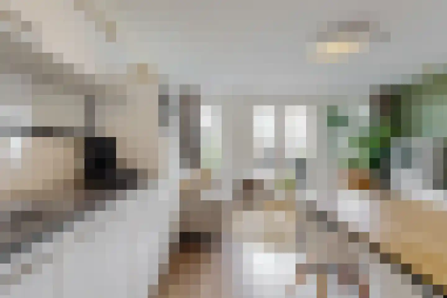 Twijnderlaan 76 Aalsmeer thumbnail 10