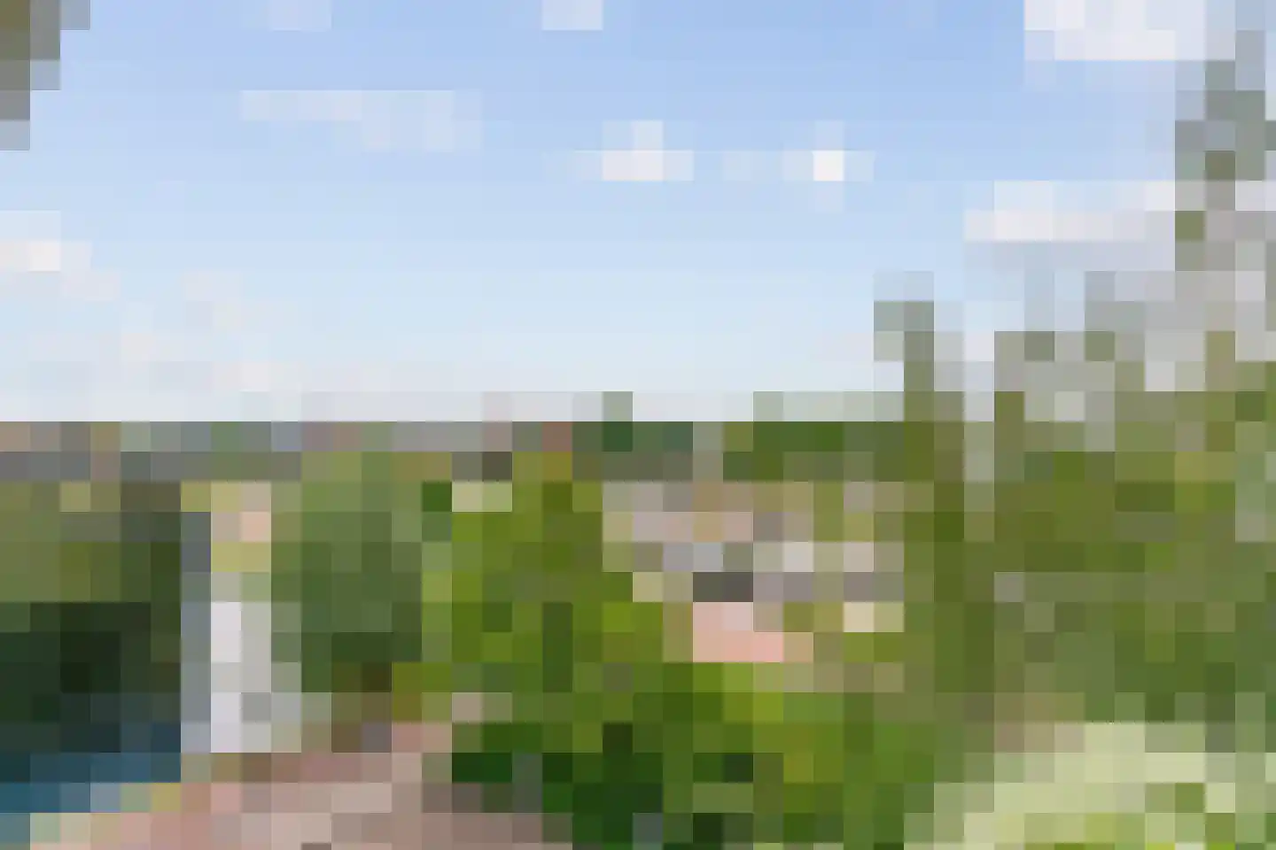 Twijnderlaan 76 Aalsmeer thumbnail 22