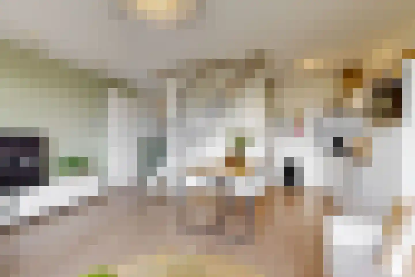 Twijnderlaan 76 Aalsmeer thumbnail 4