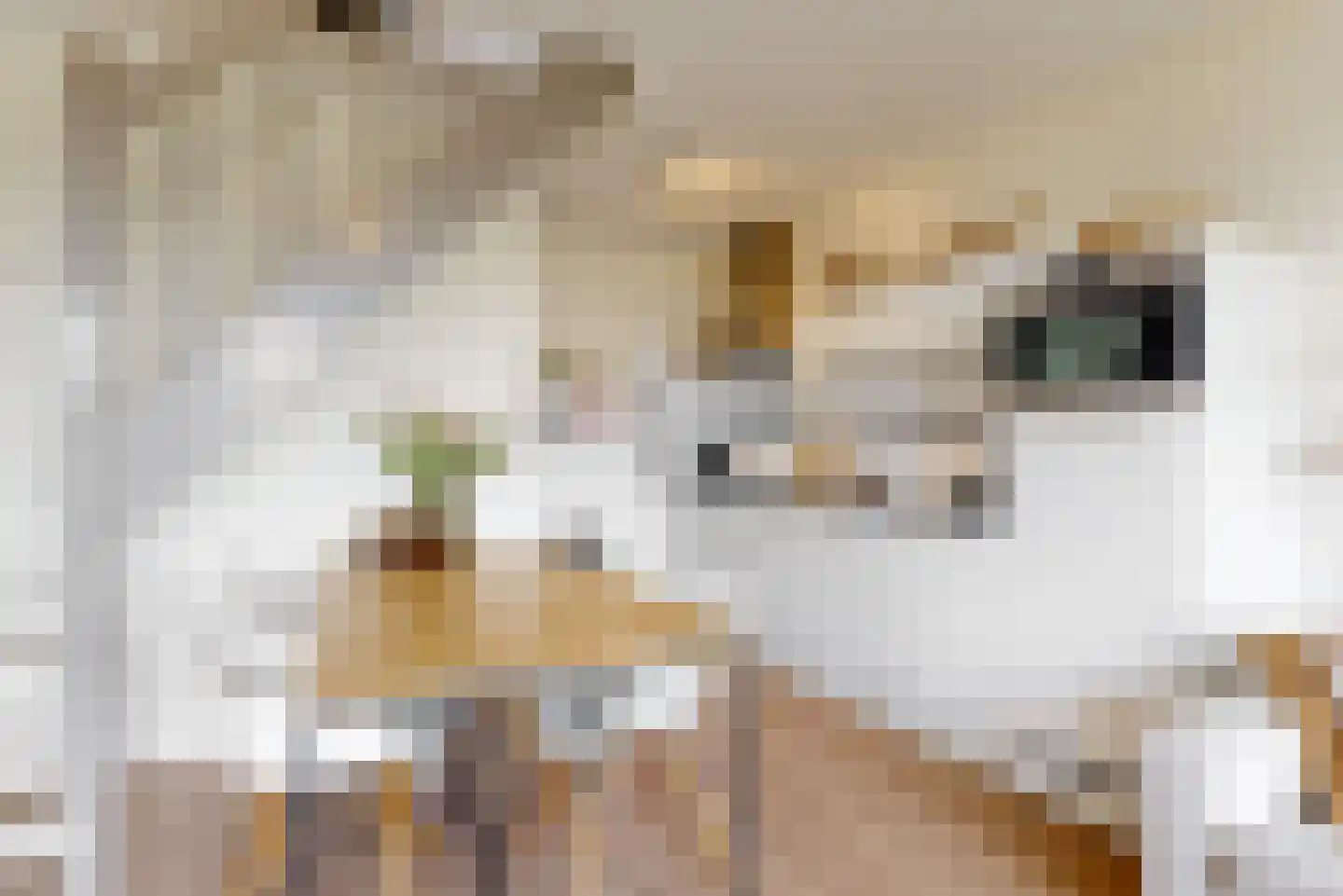 Twijnderlaan 76 Aalsmeer thumbnail 6