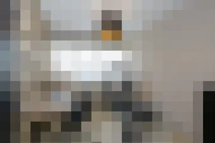 Twijndersdonk 105 Apeldoorn thumbnail 21