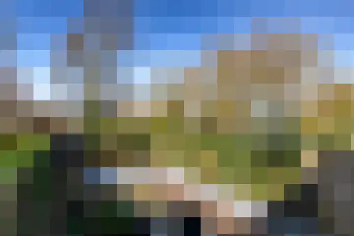 Twijndersdonk 105 Apeldoorn thumbnail 28