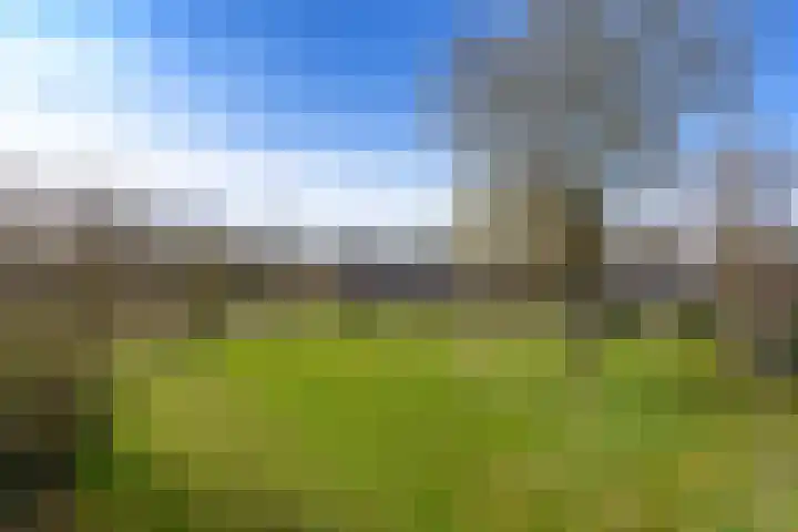 Twijndersdonk 105 Apeldoorn thumbnail 29