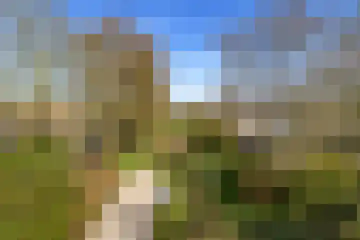 Twijndersdonk 105 Apeldoorn thumbnail 30