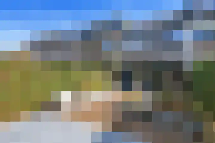 Twijndersdonk 105 Apeldoorn thumbnail 31