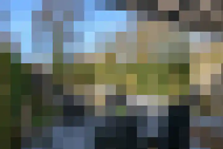 Twijndersdonk 105 Apeldoorn thumbnail 33
